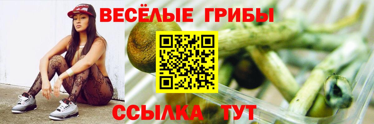 Псилоцибиновые грибы Magic Shrooms Чистополь